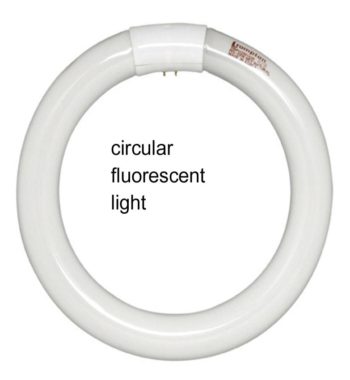 fluorescent-light-circular