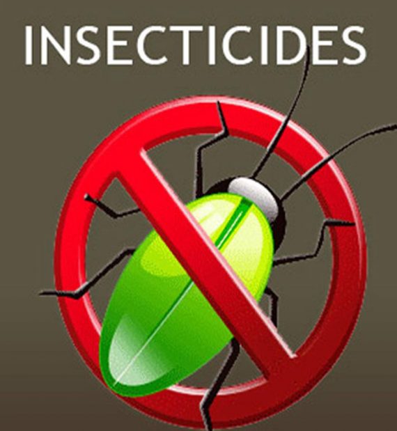insecticide-a