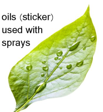 oils-spray